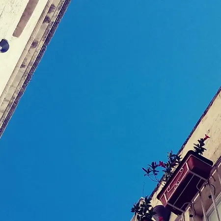 Casa Marand Con Terrazza 모노폴리